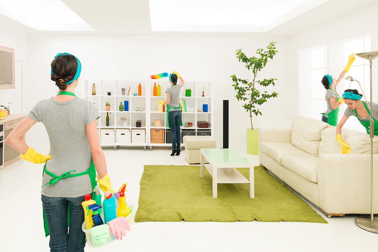 <span style="font-weight: bold;">NETTOYAGE DES APPARTEMENTS </span>